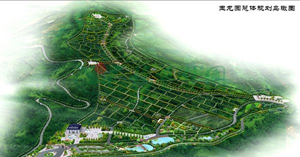 冰球突破-冰球电游豪华版_MG冰球游戏