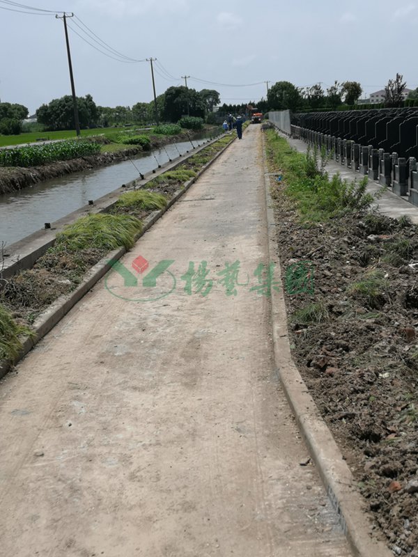 冰球突破-冰球电游豪华版_MG冰球游戏