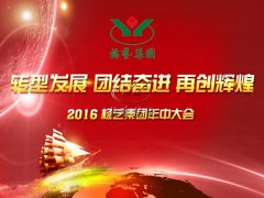 【2016年MG冰球游戏年中会正在召开中~】全员充电培训
