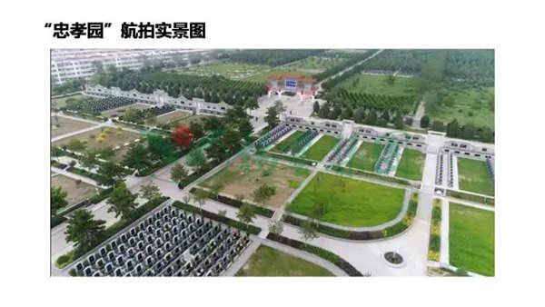 冰球突破-冰球电游豪华版_MG冰球游戏