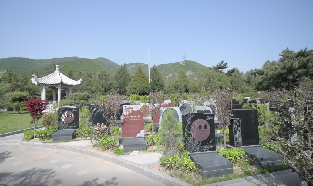 冰球突破-冰球电游豪华版_MG冰球游戏