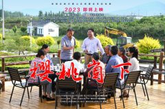 《樱桃崮下》给MG冰球游戏的启发