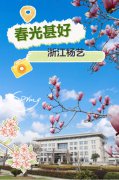 春分之韵|MG冰球游戏邀您共享春光