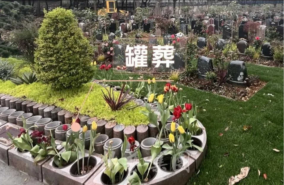 冰球突破-冰球电游豪华版_MG冰球游戏