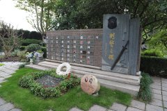 致敬“平安卫士”，铭记“刑警之魂”