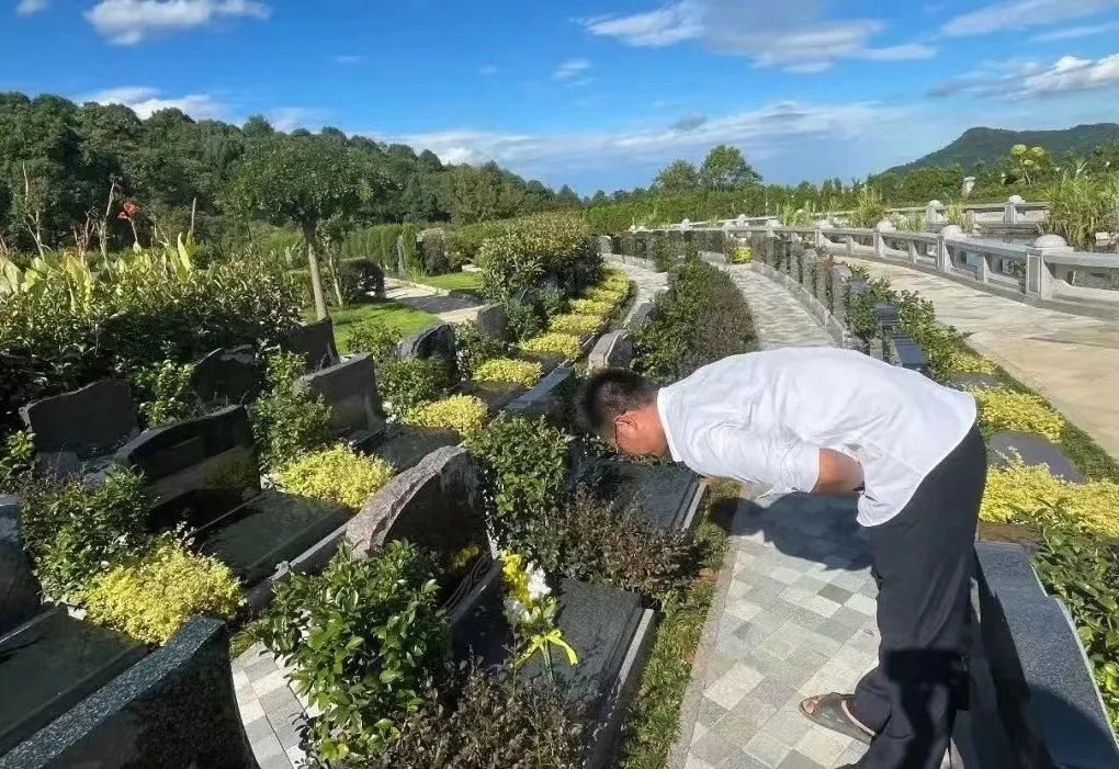 冰球突破-冰球电游豪华版_MG冰球游戏
