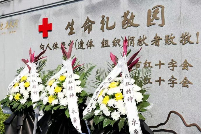 冰球突破-冰球电游豪华版_MG冰球游戏